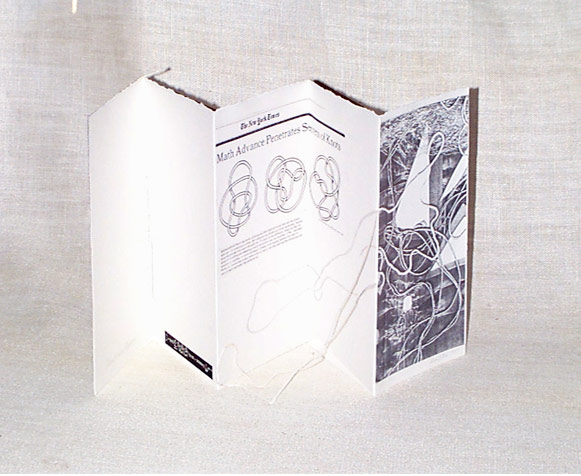 Absolutely Everything is Made of Strings Nura Petrov